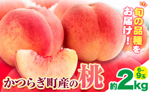 桃 かつらぎ町産 約 2kg 紀農人株式会社《2025年6月上旬-8月中旬頃出荷》 和歌山県 日高町 果物 フルーツ 桃 もも モモ 旬