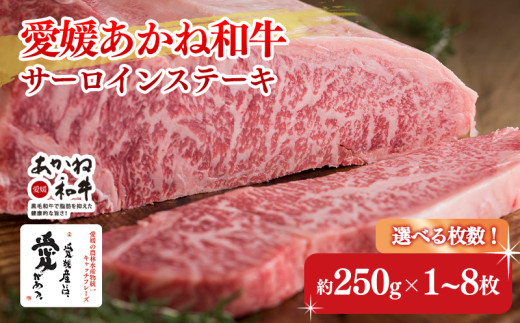 愛媛あかね和牛サーロインステーキ(約250g×1〜8枚) | 国産 和牛 牛肉 ブランド牛 ステーキ 焼肉 冷蔵 愛媛県 松前町 松前町おすすめ