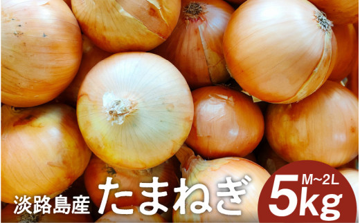 淡路島産たまねぎ 5kg入り箱【2月下旬までの期間限定商品】 / 玉葱 玉ねぎ タマネギ 1522598 - 兵庫県兵庫県庁