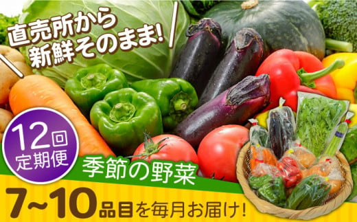 【12回定期便】直売所より発送！季節の野菜セット 7〜10品目 / 野菜定期便 やさい定期便 野菜 やさい 旬 詰め合わせ / 南島原市 / ながさき南部生産組合 [SBW005] 511589 - 長崎県南島原市