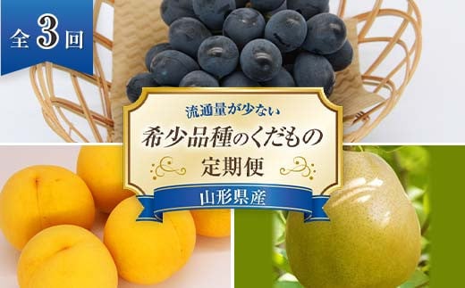 【令和7年産先行予約】 《定期便3回》 流通量が少ない希少品種の くだもの定期便 『南陽中央青果市場』 山形県 南陽市 [1407-R7]