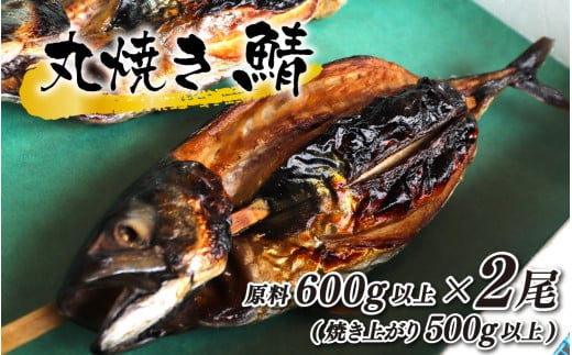 丸焼き鯖 原料600g以上(焼き上がり500g以上)×2本 1441806 - 福井県小浜市