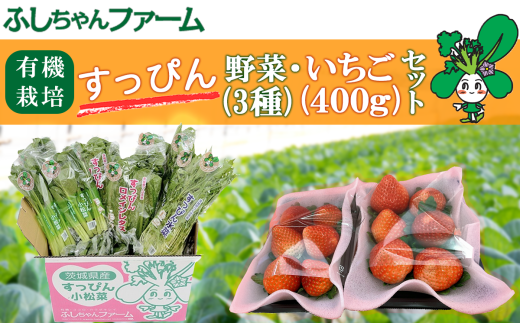 【2025年1月中旬発送開始】すっぴん有機やさい・いちごセットB【 茨城県 つくば市 いちご 苺 イチゴ 恋みのり 小松菜 ロメインレタス 水菜 鍋 鍋もの 野菜 ベジタブル 有機野菜 有機栽培 無農薬 有機農業 オーガニック 自然 果実 フルーツ 果物 希少 】 1539638 - 茨城県つくば市