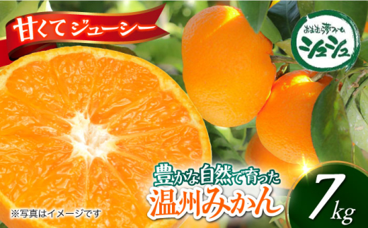 【2025年11月上旬より順次発送】みかん 7kg　/ みかん 果実 柑橘 / 大村市 / おおむら夢ファームシュシュ [ACAA378] 1521447 - 長崎県大村市