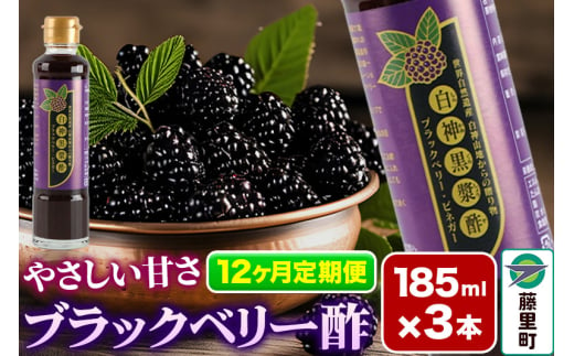 ブラックベリー酢 計3本×12回お届け （185ml×3本）【定期便12ヶ月】 1481640 - 秋田県藤里町