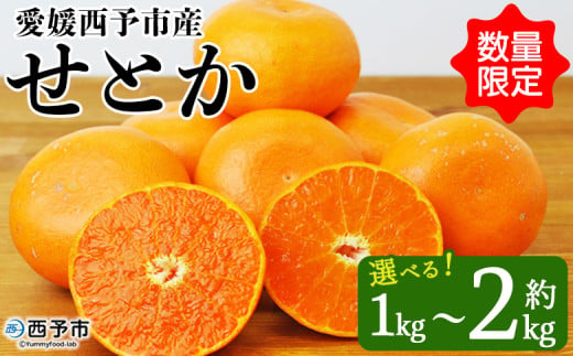 愛媛西予市産 せとか 約1kg/2kg 果物 くだもの フルーツ 柑橘類 ミカン みかん 甘い 特産品 糖度 家庭用 自宅用 産地直送 渡江から一歩を踏み出す会 食べて応援 愛媛県 西予市