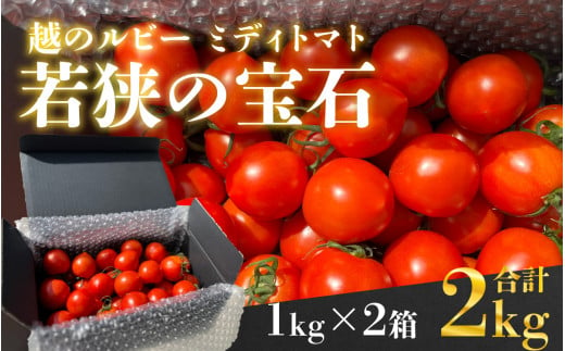 越のルビー「若狭の宝石」ミディトマト  1kg×2箱　計2kg