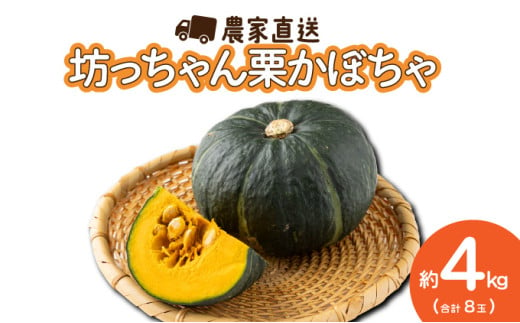 遠別産　坊ちゃん栗かぼちゃ８玉セット　計約4kg	 1497122 - 北海道遠別町