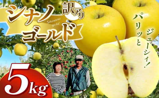  【 10月下旬から順次発送 】訳アリ　シナノゴールド　5㎏　（14～18玉）｜  シナノゴールド 林檎 りんご 長野県 松本市 果物 フルーツ ふるさと納税 1509024 - 長野県松本市