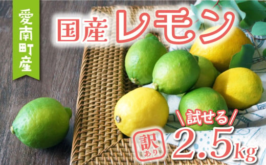 訳あり レモン 2.5kg 5000円 柑橘 サイズ 不揃い 家庭用 檸檬 国産 れもん フルーツ 果物 果実 産地直送 農家直送 数量限定 期間限定 特産品 瀬戸内 ワックス 防腐剤 不使用 果汁 人気 新鮮 少量 お試し レモネード 塩レモン レモン酢 レモンソース はちみつレモン レモンケーキ レモンスカッシュ レモンサワー レモン酎ハイ ビタミン 規格外 あいなんマザーズ 愛南町 愛媛県