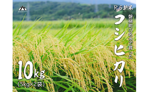 【予約受付】【令和6年産米】コシヒカリ10