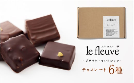 [le fleuve]チョコレート6種 プラリネ6