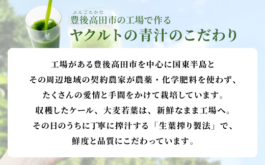 大分県豊後高田市のふるさと納税 私の青汁すっきり仕立て、ヤクルトの国産ケール青汁 各1箱