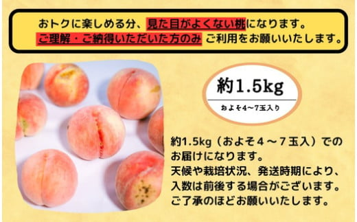 福島県国見町のふるさと納税 ◆2025年夏発送◆＜ 産直・家庭用 桃・約1.5kg ＞ ※北海道・沖縄・離島への配送不可 ※2025年7月上旬～8月中旬頃に順次発送予定