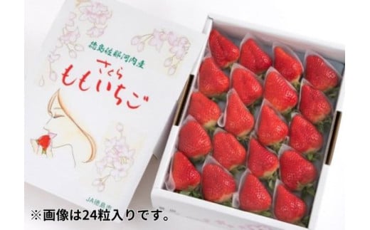 徳島県佐那河内村のふるさと納税 [№5852-0328]さくらももいちご(20粒または24粒入り化粧箱)　※2025年1月上旬頃から発送　※北海道・沖縄・離島への配送不可［佐那河内産 ブランドいちご ギフト大賞 ジューシー 高級 パック 化粧箱］