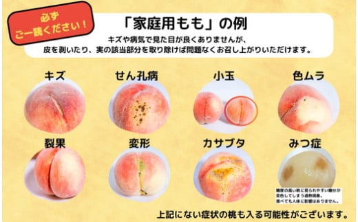 福島県国見町のふるさと納税 ◆2025年夏発送◆＜ 産直・家庭用 桃・約1.5kg ＞ ※北海道・沖縄・離島への配送不可 ※2025年7月上旬～8月中旬頃に順次発送予定