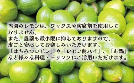 愛媛県愛南町のふるさと納税 訳あり レモン 2.5kg 5000円 柑橘 サイズ 不揃い 家庭用 檸檬 国産 れもん フルーツ 果物 果実 産地直送 農家直送 数量限定 期間限定 特産品 瀬戸内 ワックス 防腐剤 不使用 果汁 人気 新鮮 少量 お試し レモネード 塩レモン レモン酢 レモンソース はちみつレモン レモンケーキ レモンスカッシュ レモンサワー レモン酎ハイ ビタミン 規格外 あいなんマザーズ 愛南町 愛媛県