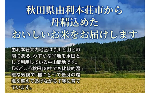 秋田県由利本荘市のふるさと納税 【白米】コシヒカリ 令和6年産 秋田県産 北国秋田のコシヒカリ 5kg