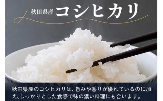 秋田県由利本荘市のふるさと納税 【白米】コシヒカリ 令和6年産 秋田県産 北国秋田のコシヒカリ 5kg