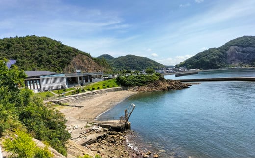 兵庫県たつの市のふるさと納税 H-199【播州名物】「道の駅みつ特製焼き穴子(3～4本)」