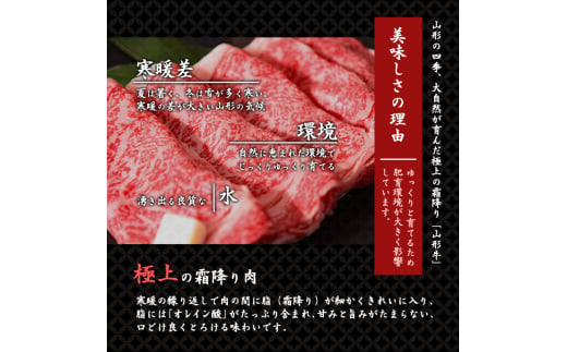 山形県寒河江市のふるさと納税 【年内配送（12月15日までのご入金）】黒毛和牛「山形牛」肩ロース すき焼き用 500g（500g×1パック） ※すき焼き用のご支持No1（当自治体内）※　021-D-YL045