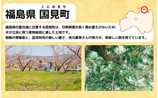 福島県国見町のふるさと納税 ◆2025年夏発送◆＜ 産直・家庭用 桃・約1.5kg ＞ ※北海道・沖縄・離島への配送不可 ※2025年7月上旬～8月中旬頃に順次発送予定