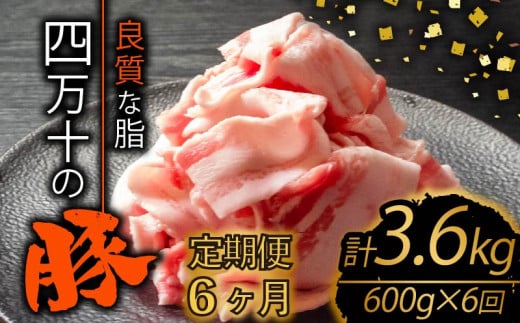 【定期便6回】四万十ポークスライス 計3.6kg（600g×6ヶ月連続お届け) Zコース | 豚肉 豚バラ肉 小分け 小間切れ スライス 切り落とし 冷凍 真空パック 簡単調理 細切れ 大容量 肉 高知県 須崎市 TM28000 1532708 - 高知県須崎市