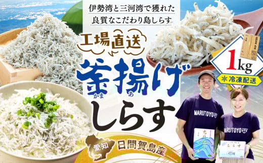 しらす 1kg 釜揚げしらす 島の工場から直送 愛知県 日間賀島産 減塩 冷凍 丸豊 魚 さかな ご飯 ごはん 国産 シラス 離乳食 人気 おすすめ 愛知県 南知多町 738558 - 愛知県南知多町