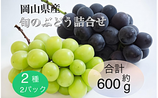 2025年 先行予約 岡山県産 旬のぶどう詰合せ 2種 2パック(ニューピオーネ1房 約300g×1P・シャインマスカット晴王1房 約300g×1P)セット 1522193 - 岡山県岡山市