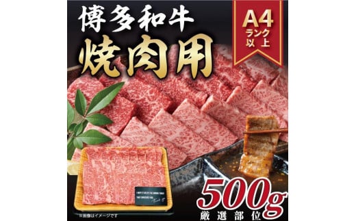 博多和牛 焼肉用　500g ( 1パック )【博多和牛 和牛 牛 肉 お肉 焼肉 焼き肉 贅沢 人気 食品 オススメ 送料無料 福岡県 筑前町 AR007】 946662 - 福岡県筑前町