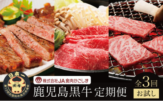 [JA食肉かごしま]鹿児島黒牛 お試し定期便(全3回) 和牛日本一の「鹿児島黒牛」お肉 ステーキ すき焼き しゃぶしゃぶ 黒毛和牛 牛肉 冷凍 定期便 南さつま市