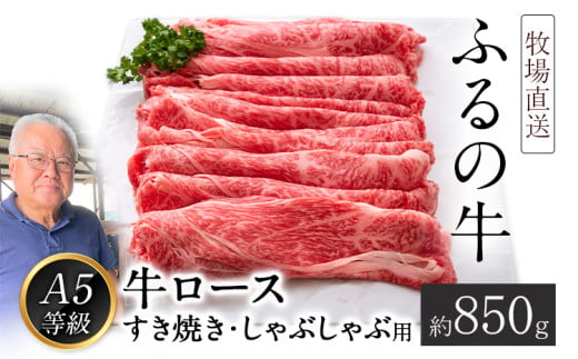 ふるの牛（黒毛和牛）ロースすき焼き・しゃぶしゃぶ用 850g A5 ミシュラン掲載《30日以内に出荷予定(土日祝除く)》 795300 - 福岡県鞍手町