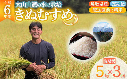 数量限定 令和6年産 きぬむすめ （ 5kg × 3回 ） 定期便 令和6年産米 精米 お米 米 こめ コメ 白米 ごはん ご飯 ゴハン ブランド米 鳥取県 倉吉市 1531476 - 鳥取県倉吉市