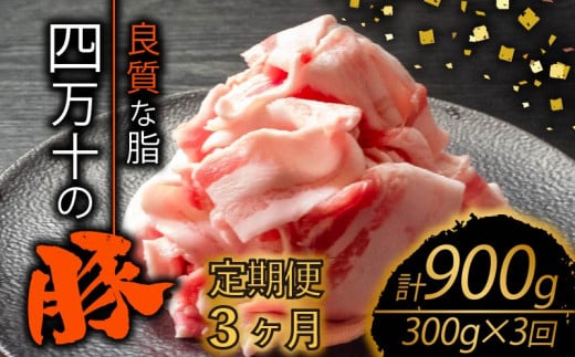 【定期便3回】四万十ポークスライス 計900g（300g×3ヶ月連続お届け) Vコース | 豚肉 豚バラ肉 小分け 小間切れ スライス 切り落とし 冷凍 真空パック 簡単調理 細切れ 大容量 肉 高知県 須崎市 TM24000 1532704 - 高知県須崎市