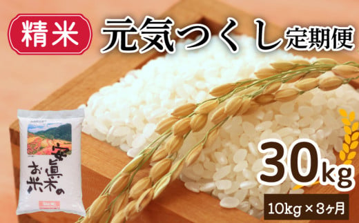 【１週間以内発送】元気つくし 30㎏（精米） 定期便 計三回 米 お米 ゴハン メシ 飯 夕ご飯 美味しいご飯 福岡 川崎  1523081 - 福岡県川崎町