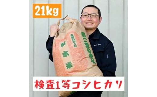 栃木県産 コシヒカリ 白米21kg【検査1等米】 958314 - 栃木県さくら市