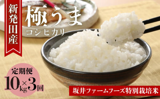 【定期便10kg × 3か月】令和6年産 新潟県産 コシヒカリ 特別栽培米 坂井ファーム【 米 お米 5kg 10kg 30kg 3か月 新潟 新発田 D73_01 】 1085279 - 新潟県新発田市