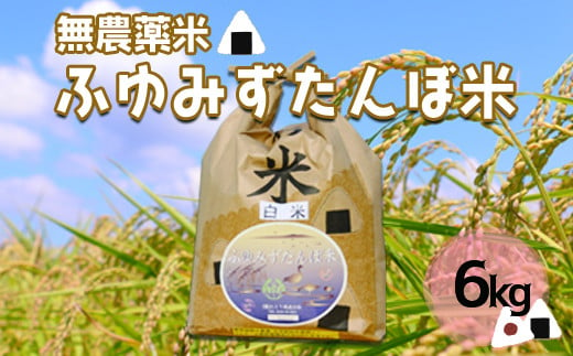 (03536)宮城県大崎市田尻産　無農薬米「ふゆみずたんぼ米」6kg【2024年産】