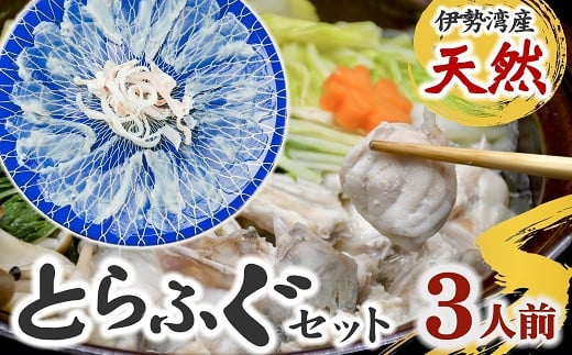 伊勢湾産　天然　とらふぐセット　鍋用（切り身・アラ）＆刺身【4.9-2】 1532279 - 三重県松阪市