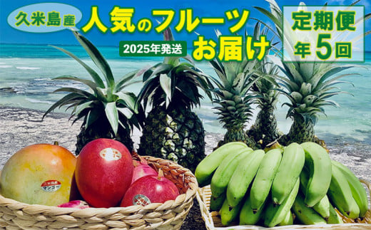 2025年発送【定期便】久米島産人気のフルーツお届け 年5回コース 南国 フルーツ 果物 マンゴー アーウィン キーツ パイナップル スナックパイン Nパイン ハワイ種 島バナナ デザート 贈答 贈り物 プレゼント 人気 定期便 先行予約 沖縄 久米島 812780 - 沖縄県久米島町