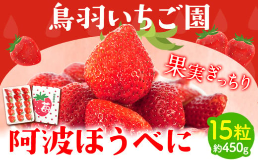 ＜ 先行予約 ＞ 阿波ほうべに 15粒 鳥羽農園《1月上旬-3月下旬頃出荷》 ふるさと納税 いちご 苺 イチゴ 徳島県 上板町 徳島県オリジナル品種 果物 フルーツ 送料無料 1541175 - 徳島県上板町