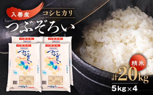 ＜令和6年産＞入善産コシヒカリ20kg【1212928】 716085 - 富山県入善町