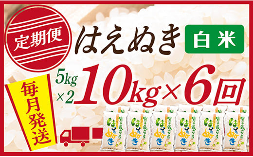 【定期便】【白米】 山形県産 はえぬき 10kg (5kg×2)  6回配送