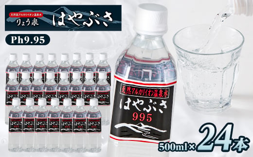 りょう泉はやぶさ　995〈500ml×24本〉_ 水 500ml ミネラルウォーター ウォーター ミネラル アルカリ天然 軟水 温泉水 イオン 飲料 ドリンク キャンプ アウトドア ケース 山梨市 常温 玄関 配達 備蓄 防災 経済的 水割り お茶 コーヒー スポーツ 【1031769】