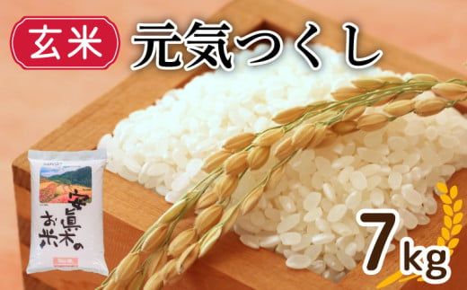 【1週間以内発送】元気つくし （玄米） 7㎏ （福岡県認定地域資源） 米 お米 精米 美味しいコメ ご飯 ゴハン 夕ご飯 野菜 晩ごはん 備蓄 防災 災害 福岡 川崎 1523082 - 福岡県川崎町