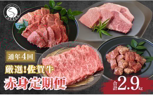 厳選！佐賀牛 赤身 定期便 全4回 モモ カタ スライス 焼き肉 ステーキ 煮込み料理 N100-17