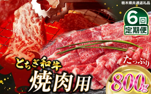 【定期便6回】とちぎ和牛焼肉用 800g | 和牛切り落とし 黒毛和牛 切り落とし 栃木県産黒毛和牛 焼肉 バーベキュー BBQ  肉 牛肉 高級 ご褒美 共通返礼品 ふるさと納税 栃木県 那珂川町 送料無料 1532787 - 栃木県那珂川町