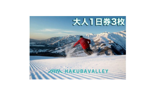 HAKUBA VALLEY 10 スキー場共通リフト券＜大人1日券3枚＞【1560076】 1523848 - 長野県白馬村