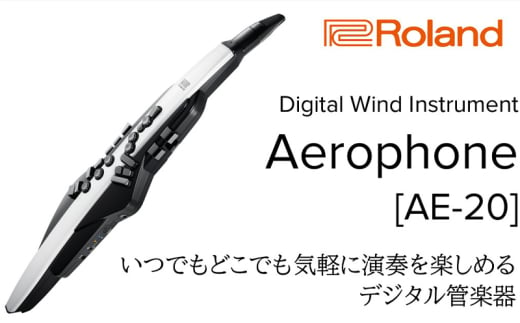 【Roland】電子管楽器/Aerophone AE-20【配送不可：離島】 [№5786-5448]