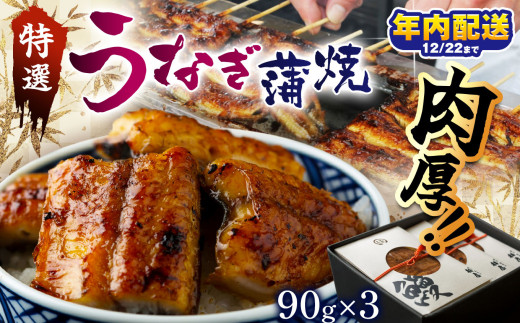 特選　蒲焼うなぎ(短冊)肉厚うなぎを炭火焼！| ふるさと納税 特選 蒲焼うなぎ 短冊 肉厚うなぎ炭 高級蒲焼 国産うなぎ 肉厚 炭火焼うなぎ 贅沢 肉厚うなぎ蒲焼特選 炭火焼うなぎ ギフト 栃木県 那珂川町 送料無料 702506 - 栃木県那珂川町